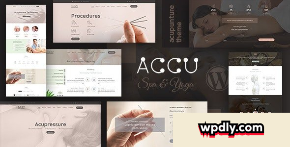 accu-v30---healthcare-massage-wordpress-theme