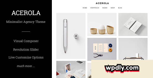acerola-v16---ultra-minimalist-agency-theme