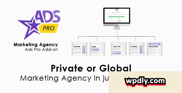 ads-pro-add-on-v192---wordpress-marketing-agency