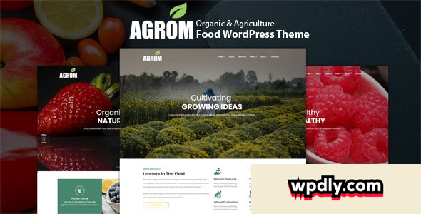 agrom-v10---organic-amp-agriculture-food-wordpress-theme