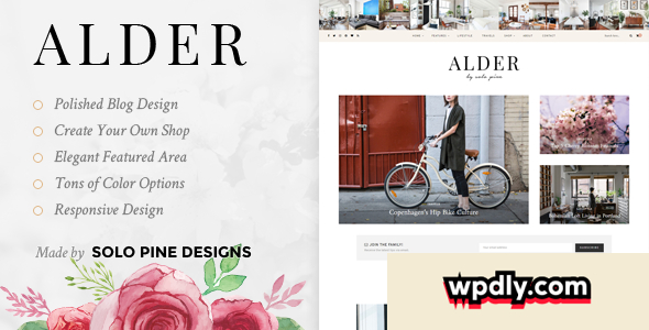 alder-v11---a-responsive-wordpress-blog-theme