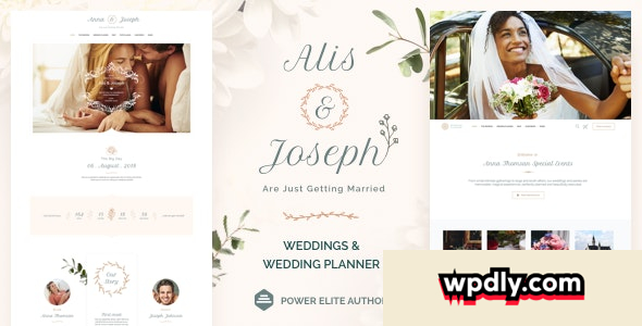 alis-v30---wedding-planner