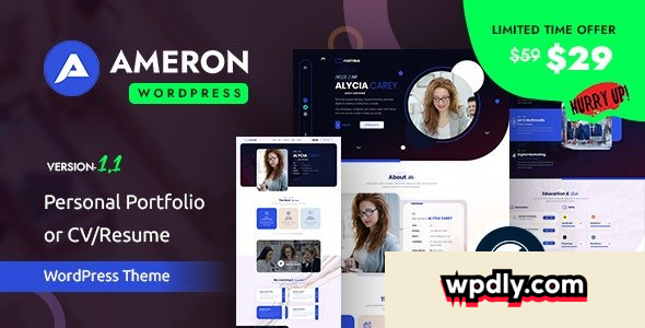 ameron-v100---personal-portfolio-or-cvresume-wordpress-theme