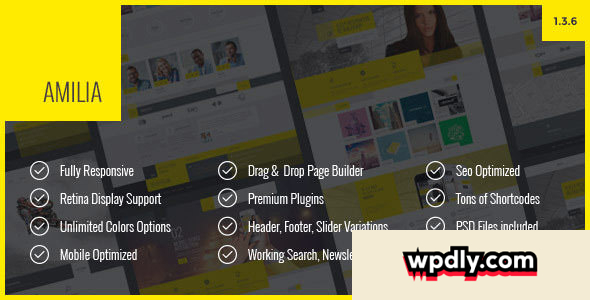 amilia-v136---multipurpose-one--multi-page-wp-theme