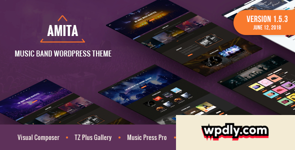 amita-v153---music-band-wordpress-theme