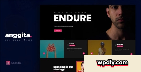 anggita-v12---one-page-portfolio-theme