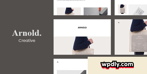arnold-v178---minimal-portfolio-wordpress-theme