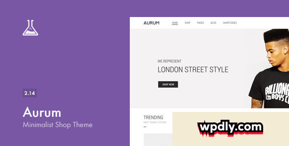 aurum-v214---minimalist-shopping-theme