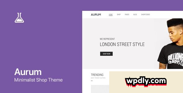 aurum-v406---minimalist-shopping-theme
