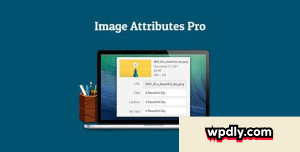 auto-image-attributes-pro-v13---wordpress-plugin