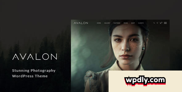 avalon-v1099---photography-and-portfolio-wordpress-theme