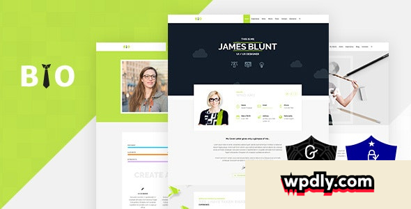 bio-v16---resume-cv-freelancer-wordpress-theme