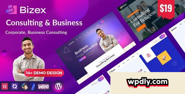bizex-v104---business-consulting