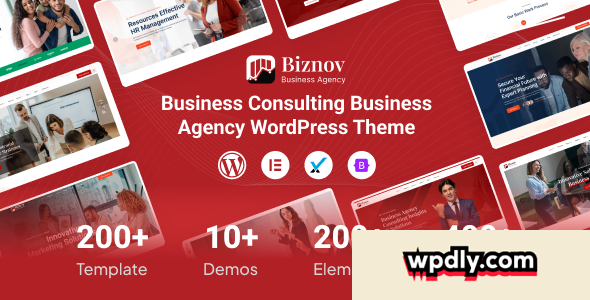 biznov-v100---business-consulting-wordpress-theme