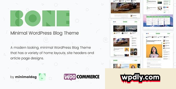 bone-v404---minimal-amp-clean-wordpress-blog-theme