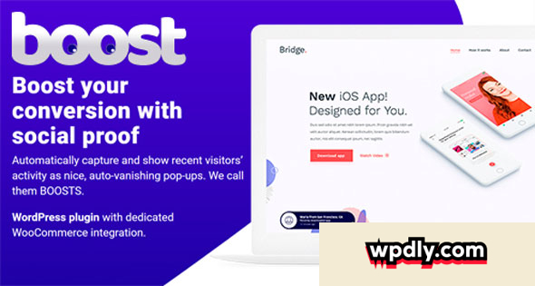boost-v107---wordpress-plugin