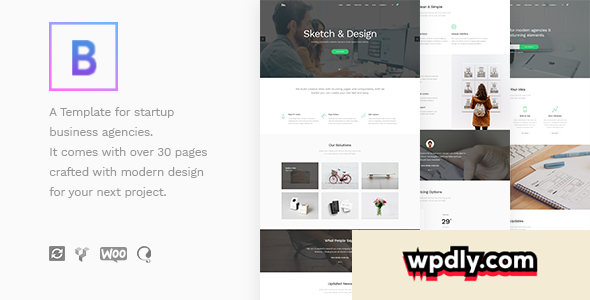 botheme-v131---startup-business-wordpress-theme