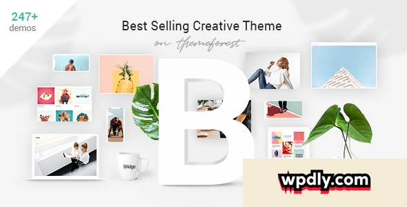 bridge-v132---creative-multi-purpose-wordpress-theme