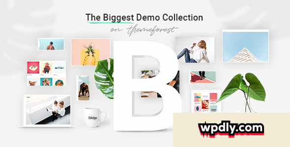 bridge-v145---creative-multi-purpose-wordpress-theme