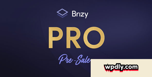 brizy-pro-v0019---wordpress-builder-plugin