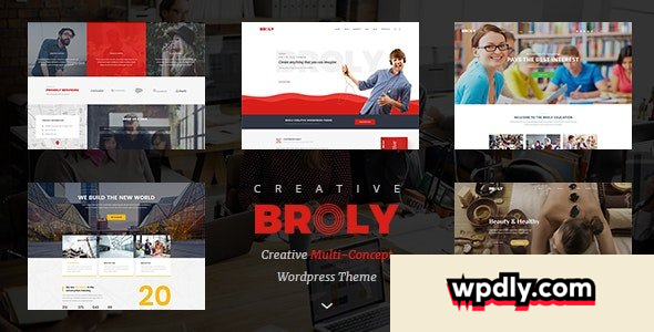 broly-v113---creative-multi-concept-wordpress-theme
