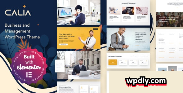calia-v1249---business-and-management-wordpress-theme