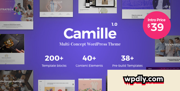 camille-v109---multi-concept-wordpress-theme