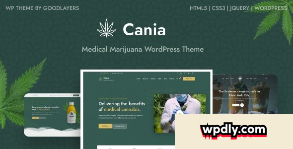 cania-v103---marijuana-medical-wordpress