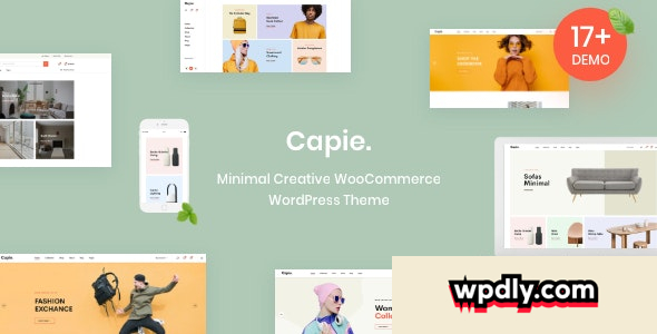 capie-v103---minimal-creative-woocommerce-wordpress-theme