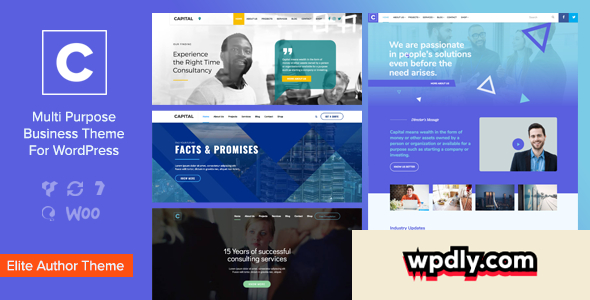 capital-v18---multi-purpose-business-wordpress-theme