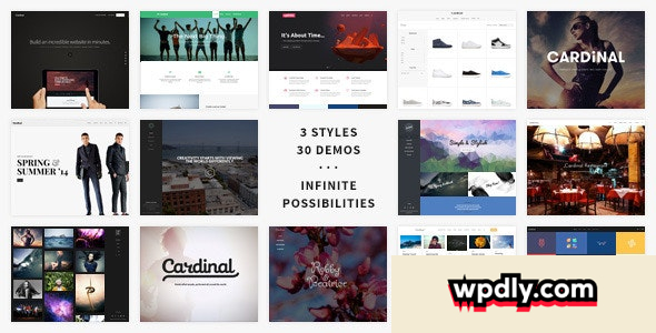 cardinal-v2633---wordpress-theme