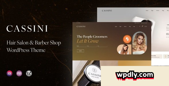 cassini-v100---hair-salon-amp-barber-shop-wordpress-theme
