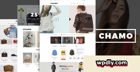 chamo-v141---responsive-woocommerce-wordpress-theme