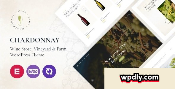 chardonnay-v16---wine-store-amp-vineyard-wordpress-theme
