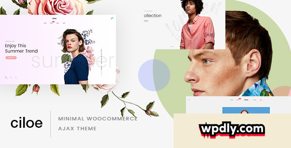 ciloe-v174---multipurpose-woocommerce-theme