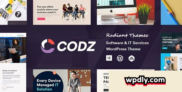 codz-v104---software-amp-it-services-theme