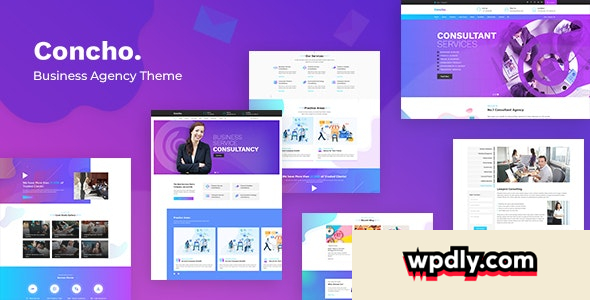 concho-v17---hr-consulting-services-wordpress-theme