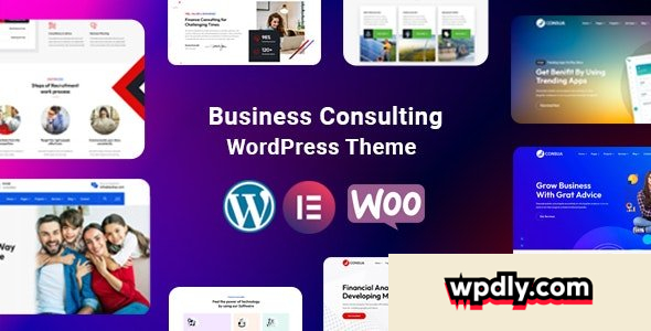 consua-v10---business-consulting-wordpress