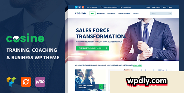cosine-v104---training-coaching--business-theme