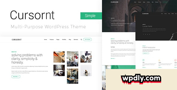 cursornt-v220---startup-business-theme