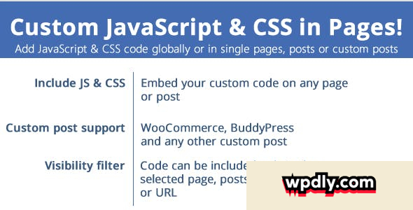 custom-javascript-amp-css-in-pages-v37