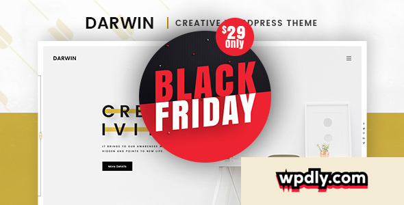 darwin-v105---creative-wordpress-theme