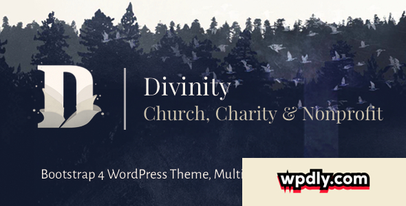 divinity-v130---church-nonprofit-charity-events-theme