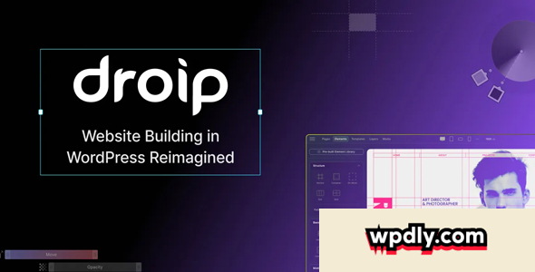 droip-v100---no-code-website-builder-for-wordpress