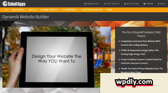 dynamic-website-builder-v247--skins