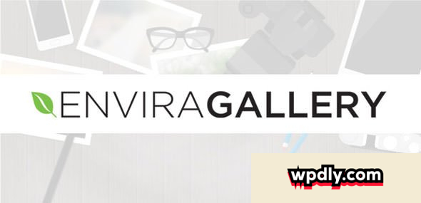 envira-gallery-v1896--addons