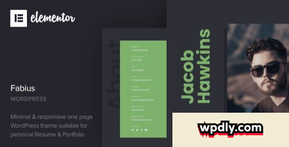fabius-v10---resume-wordpress-theme