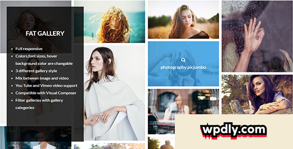 fat-image-gallery-for-wordpress-v123