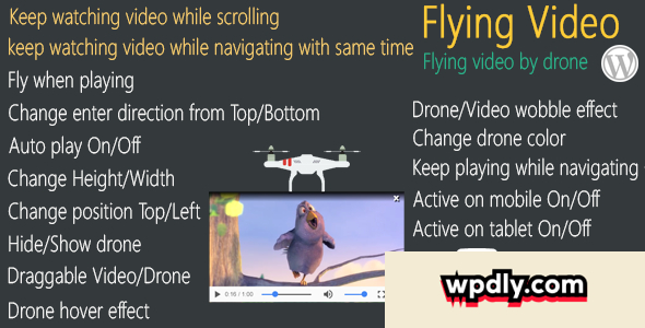flying-video-for-wordpress-v200