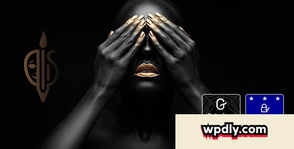 fullscreen-artist-v15---photography-theme